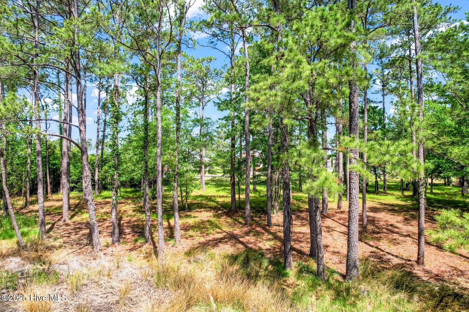 72 Oyster Point Road Oriental, NC 28571 - Photo 21 of 55 72 Oyster Point Road 38 (12)