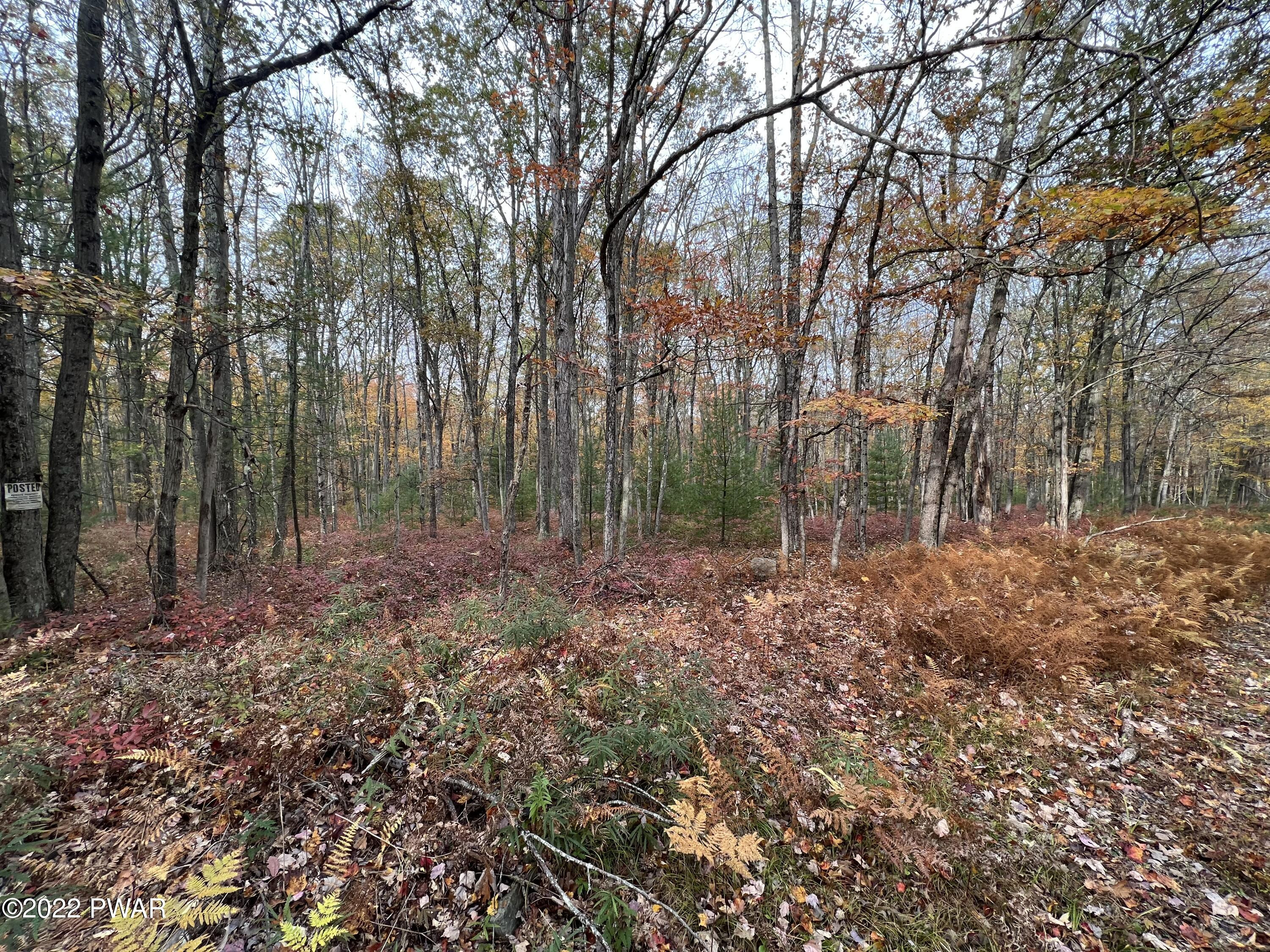 Lot 8 Whispering Oaks Road Greeley, PA 18425 - Photo 4 of 5
