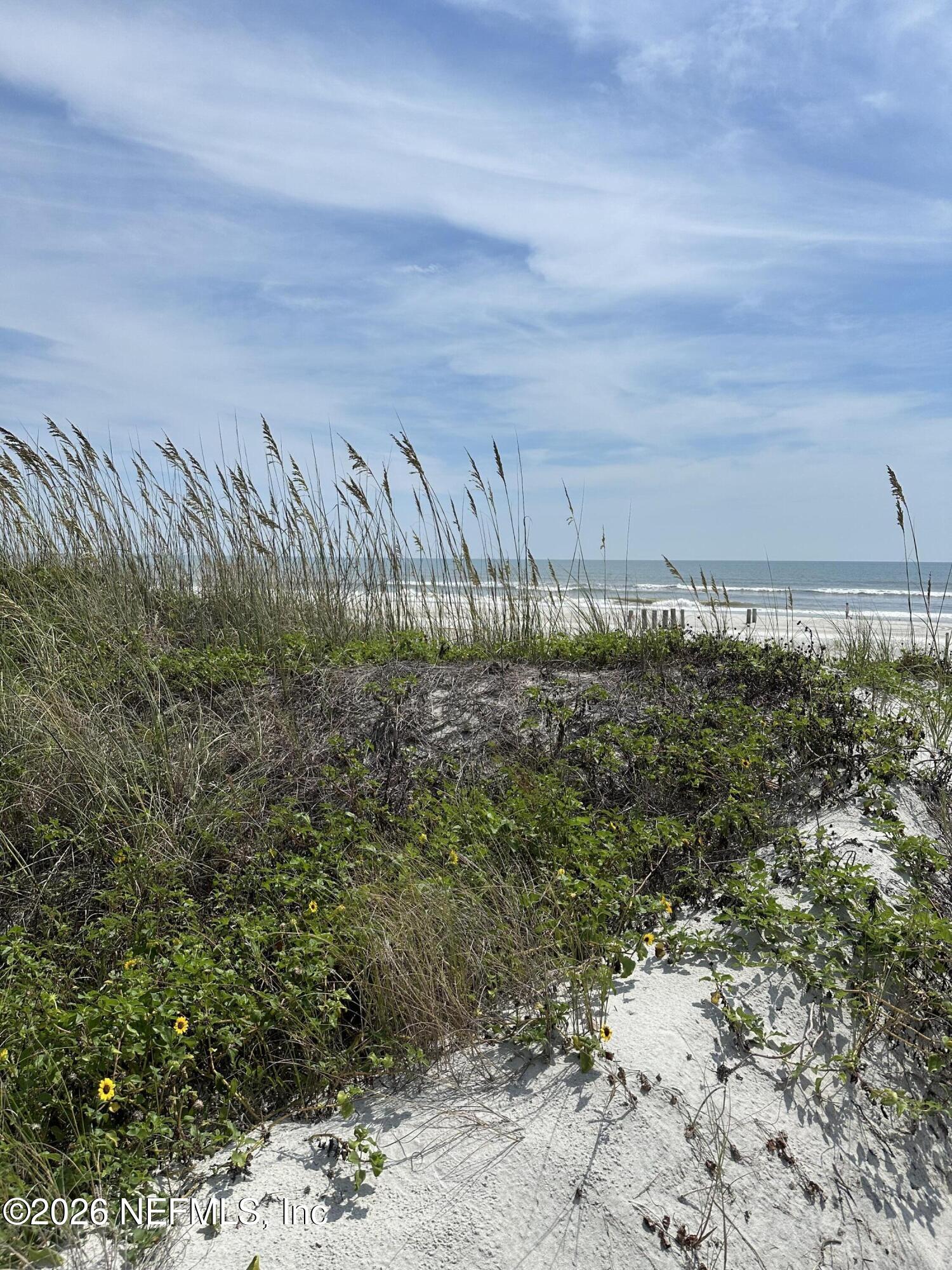 935 Seashell Lane Ponte Vedra Beach, FL 32082 - Photo 29 of 30 IMG_3075