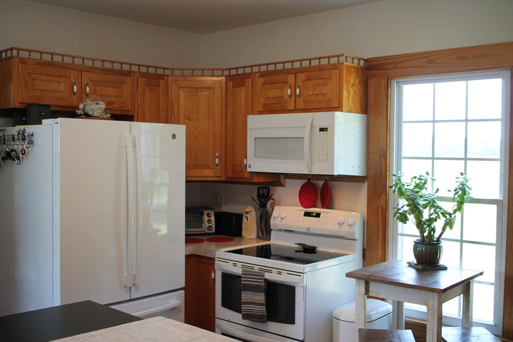 30076 Hopeland Road Bloxom, VA 23308 - Photo 24 of 56 Gallery Image 24