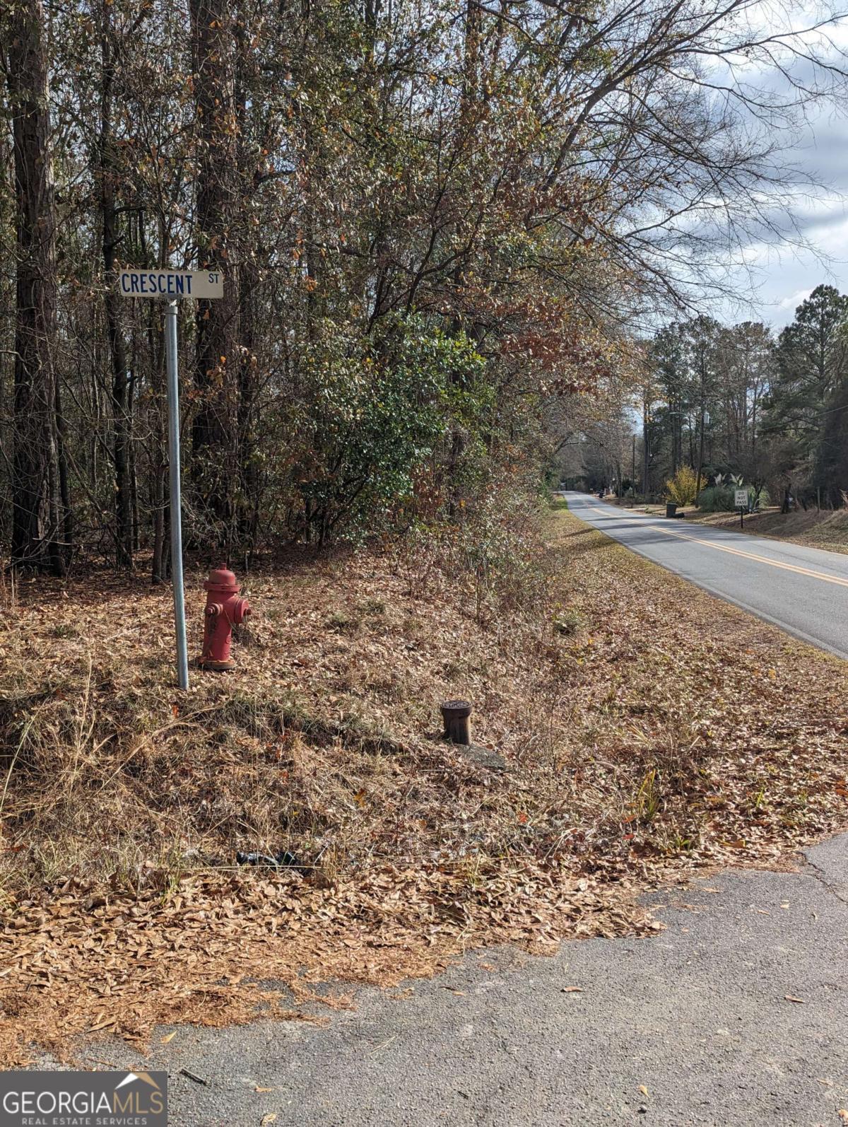 0 Crescent Street Gordon, GA 31031 - Photo 1 of 1 Gallery Image 1