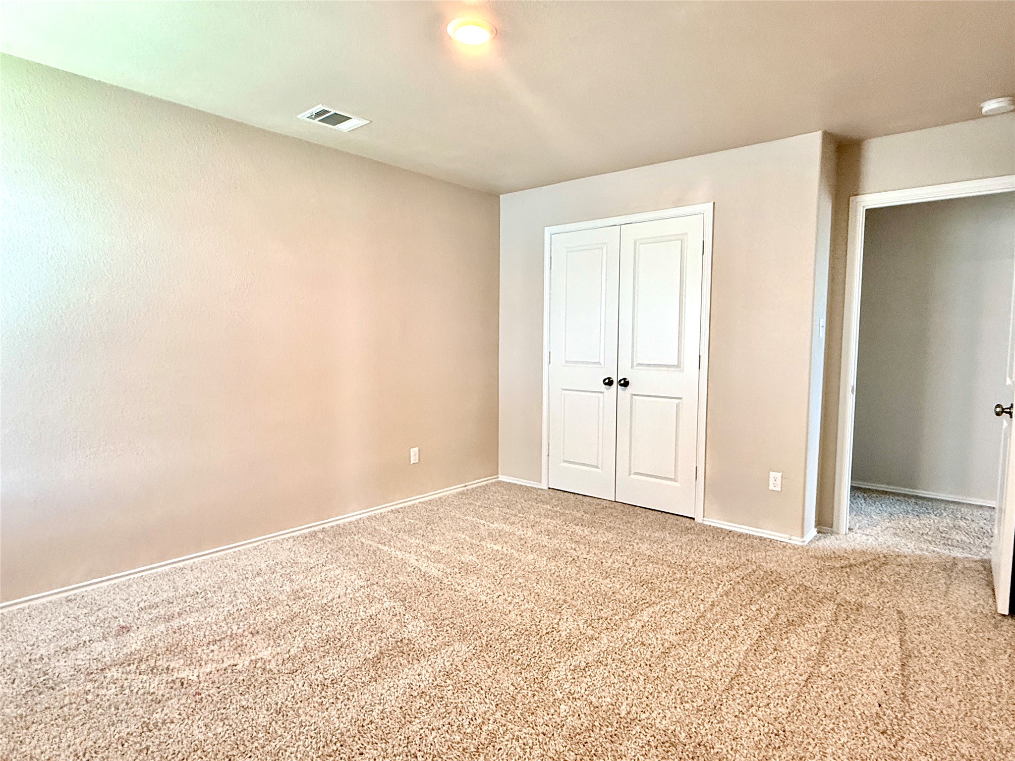129 Perfect World Loop Jarrell, TX 76537 - Photo 24 of 31 A well-lit bedroom featuring soft carpeting and a spacious closet.