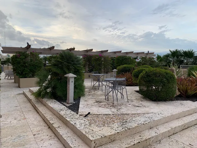 view of a flower in a garden