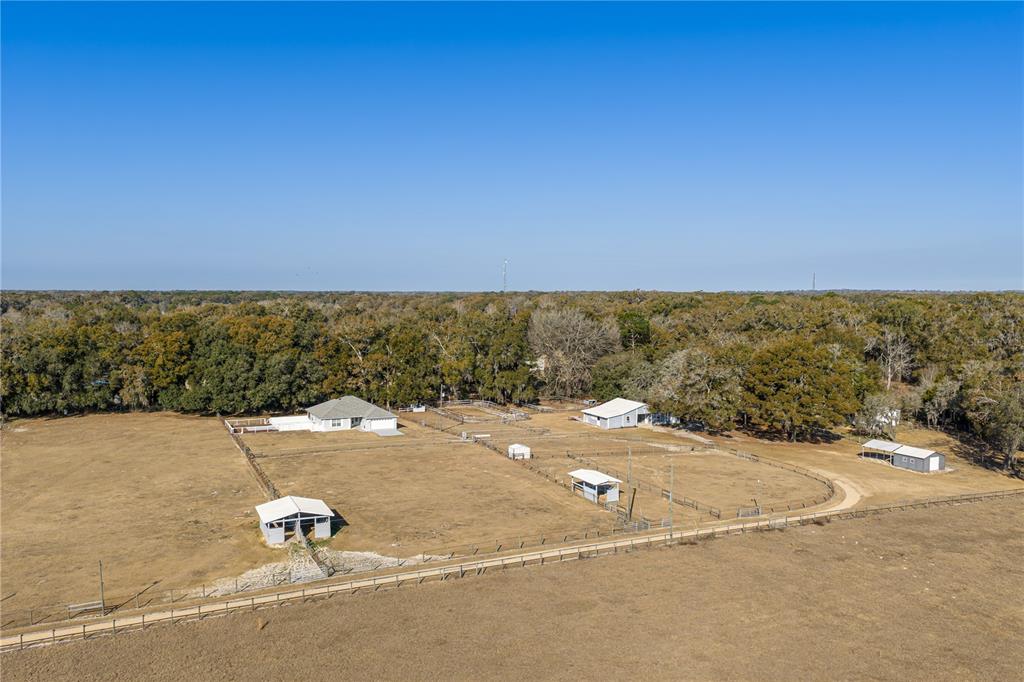 4495 Southeast 150th Street Summerfield, FL 34491 - Photo 14 of 81