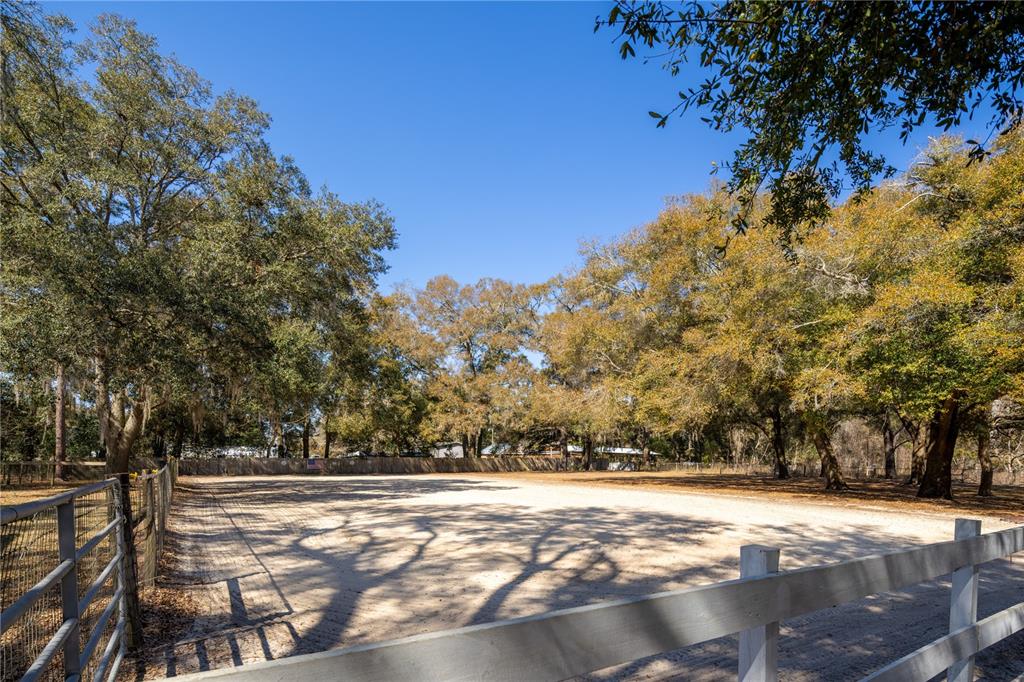 4495 Southeast 150th Street Summerfield, FL 34491 - Photo 49 of 76 a view of outdoor space with trees