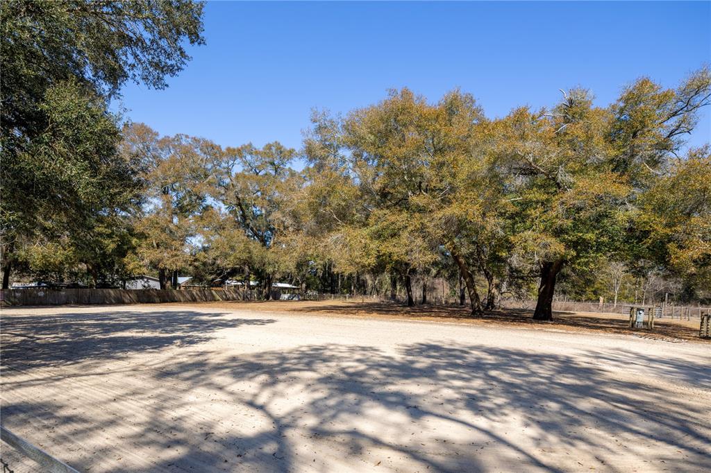 4495 Southeast 150th Street Summerfield, FL 34491 - Photo 50 of 76 a view of outdoor space with trees