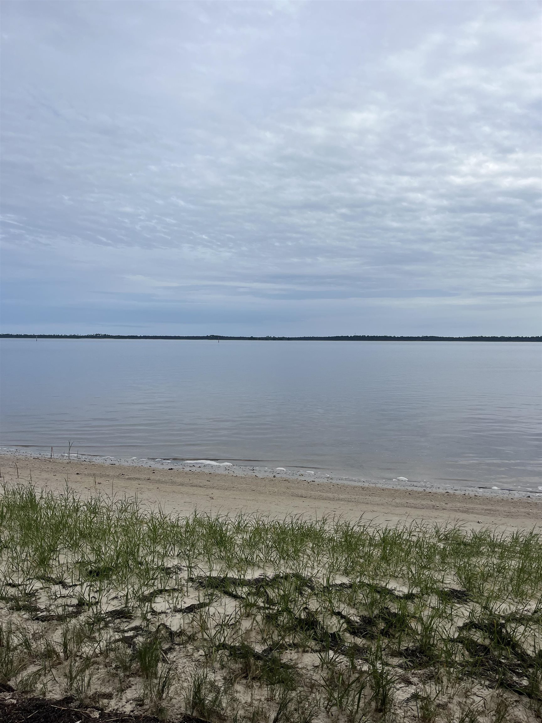 599 Mashes Sands Road Panacea, FL 32346 - Photo 2 of 7