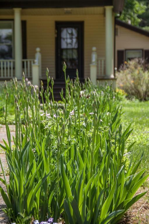 38 Salmon Falls Road Buxton, ME 04093 - Photo 17 of 17 Other