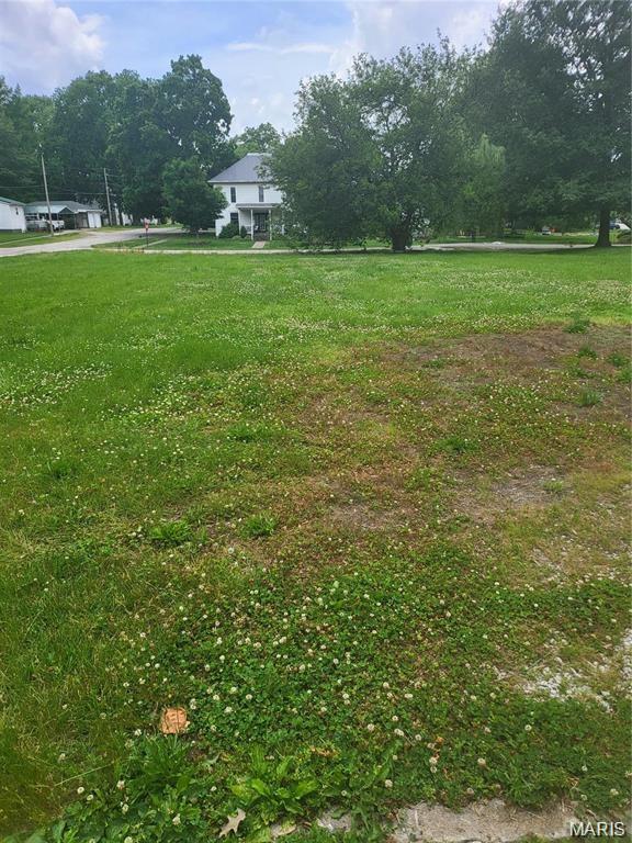 117 South Grace Street Marissa, IL 62257 - Photo 1 of 2