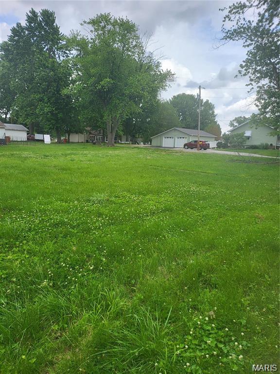 117 South Grace Street Marissa, IL 62257 - Photo 2 of 2