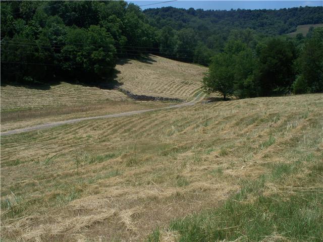 195 Carter Hollow Road Liberty, TN 37095 - Photo 1 of 12 Gallery Image 1