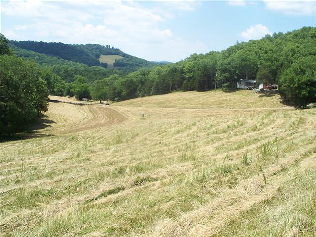 195 Carter Hollow Road Liberty, TN 37095 - Photo 11 of 12 Gallery Image 11