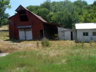 195 Carter Hollow Road Liberty, TN 37095 - Photo 2 of 12 Gallery Image 2