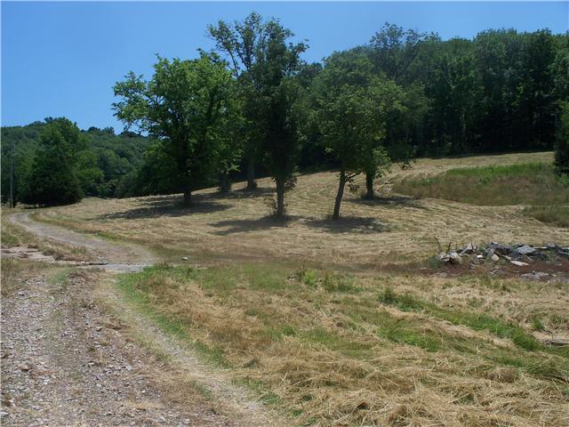 195 Carter Hollow Road Liberty, TN 37095 - Photo 3 of 12 Gallery Image 3