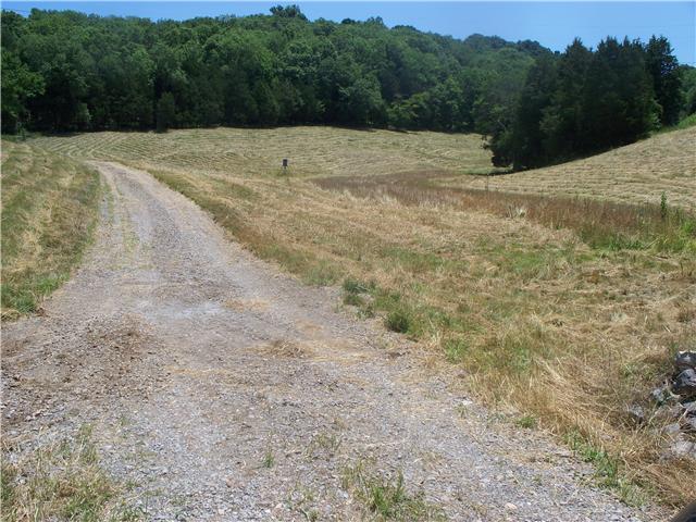 195 Carter Hollow Road Liberty, TN 37095 - Photo 8 of 12 Gallery Image 8
