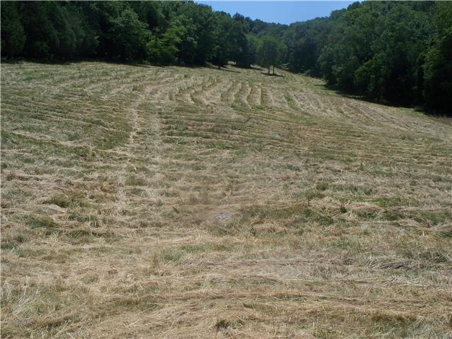 195 Carter Hollow Road Liberty, TN 37095 - Photo 9 of 12 Gallery Image 9