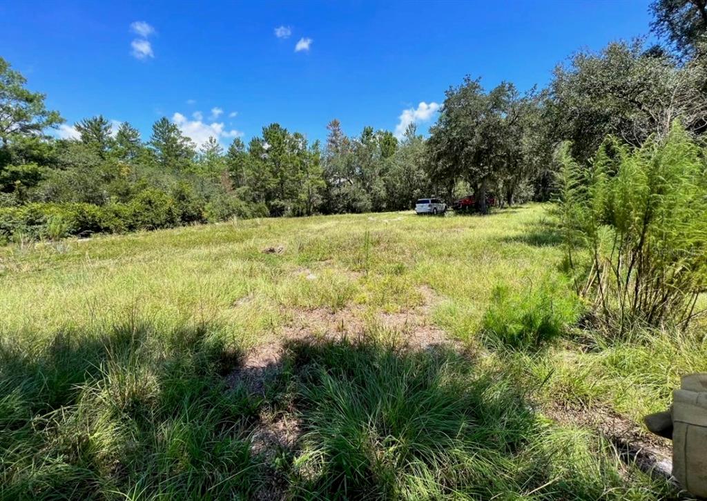 Steward Road Eustis, FL 32736 - Photo 2 of 3