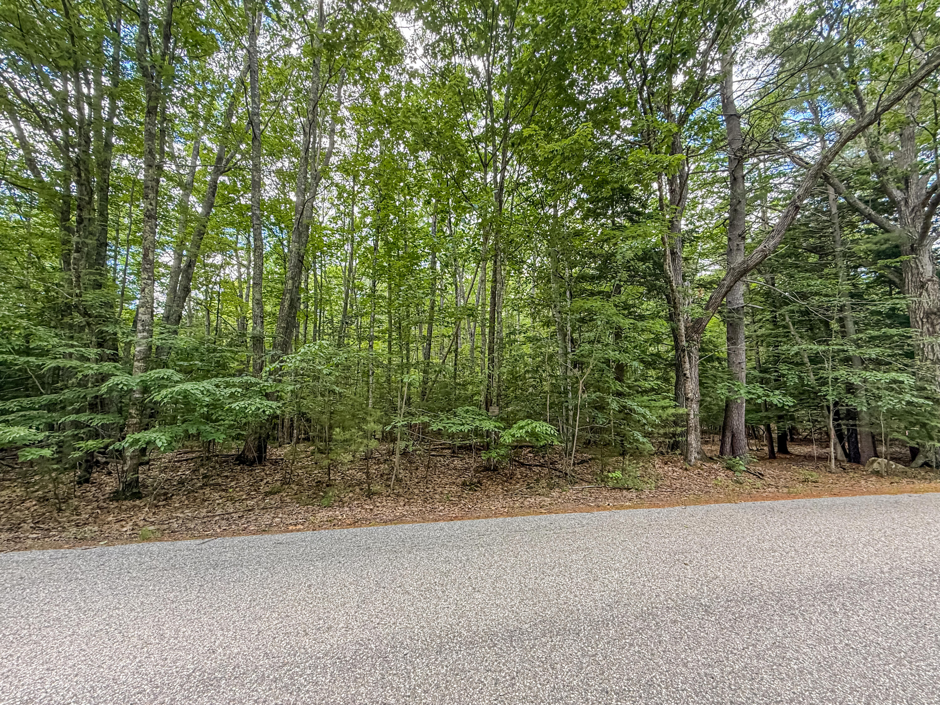 Lot 36-5 Union Falls Road Buxton, ME 04093 - Photo 13 of 14 C6D55BD5-E0D3-4757-8759-A424839DACCA