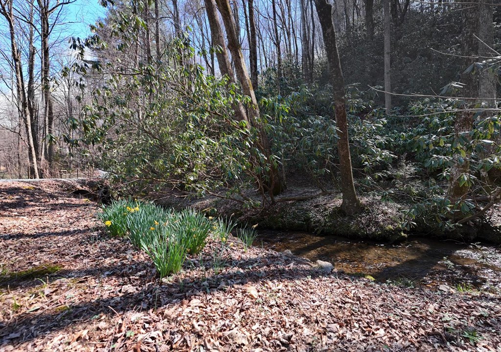 1275 Hells Hollow Road Blue Ridge, GA 30513 - Photo 11 of 61 Gallery Image 11
