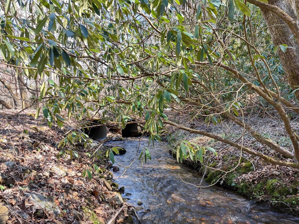 1275 Hells Hollow Road Blue Ridge, GA 30513 - Photo 12 of 61 Gallery Image 12
