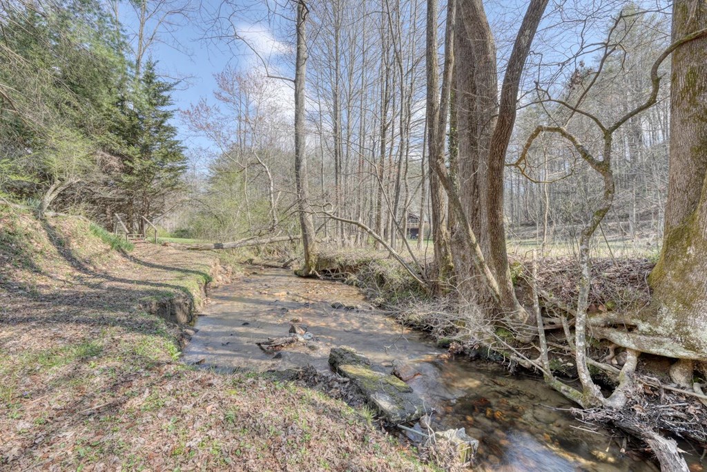1275 Hells Hollow Road Blue Ridge, GA 30513 - Photo 53 of 61 Gallery Image 53
