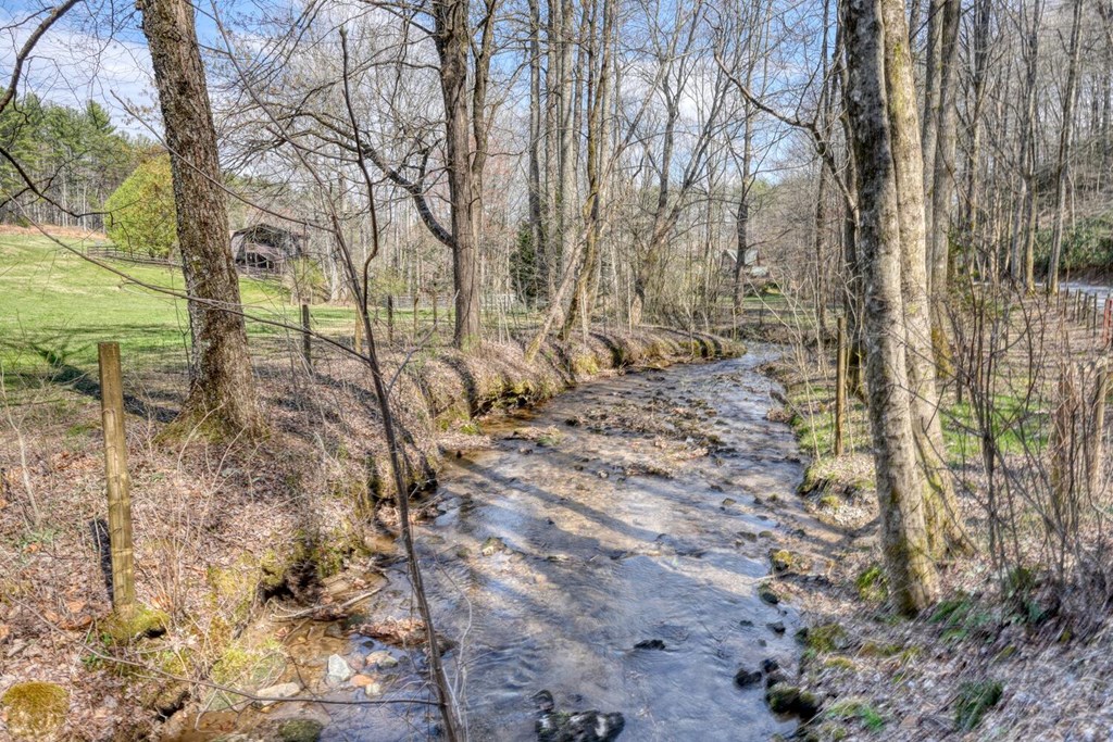1275 Hells Hollow Road Blue Ridge, GA 30513 - Photo 55 of 61 Gallery Image 55
