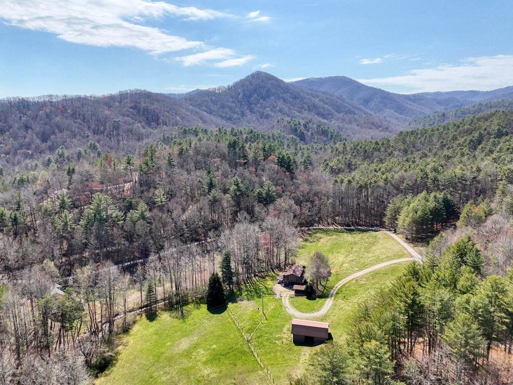 1275 Hells Hollow Road Blue Ridge, GA 30513 - Photo 56 of 61 Gallery Image 56
