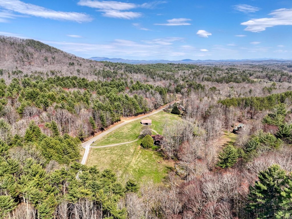 1275 Hells Hollow Road Blue Ridge, GA 30513 - Photo 57 of 61 Gallery Image 57