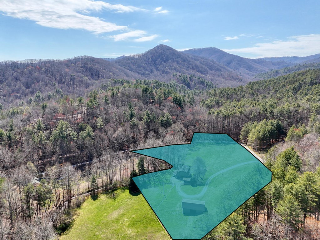 1275 Hells Hollow Road Blue Ridge, GA 30513 - Photo 58 of 61 Gallery Image 58