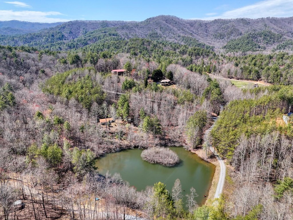 1275 Hells Hollow Road Blue Ridge, GA 30513 - Photo 60 of 61 Gallery Image 60