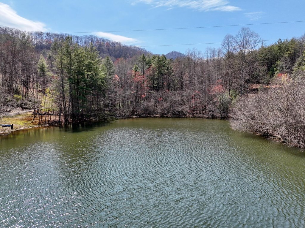 1275 Hells Hollow Road Blue Ridge, GA 30513 - Photo 61 of 61 Gallery Image 61