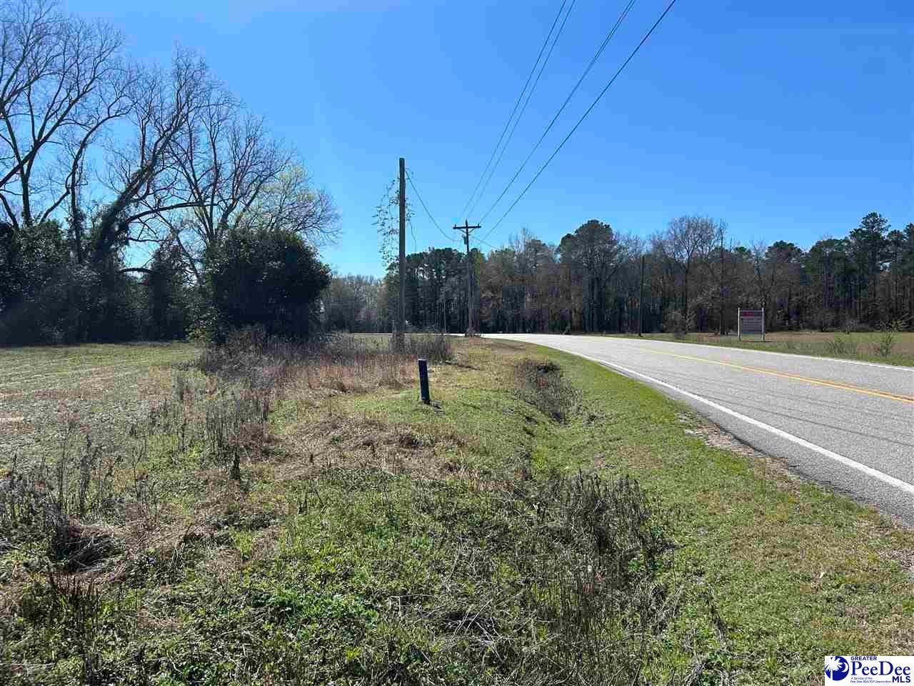 Tbd Salem Road Bennettsville, SC 29512 - Photo 4 of 4 Gallery Image 4