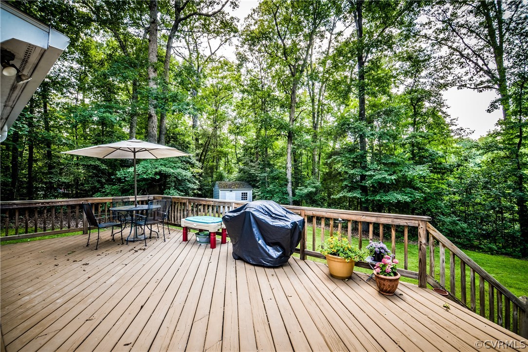 4200 Hobblebush Terrace Moseley, VA 23120 - Photo 30 of 41 Gallery Image 30