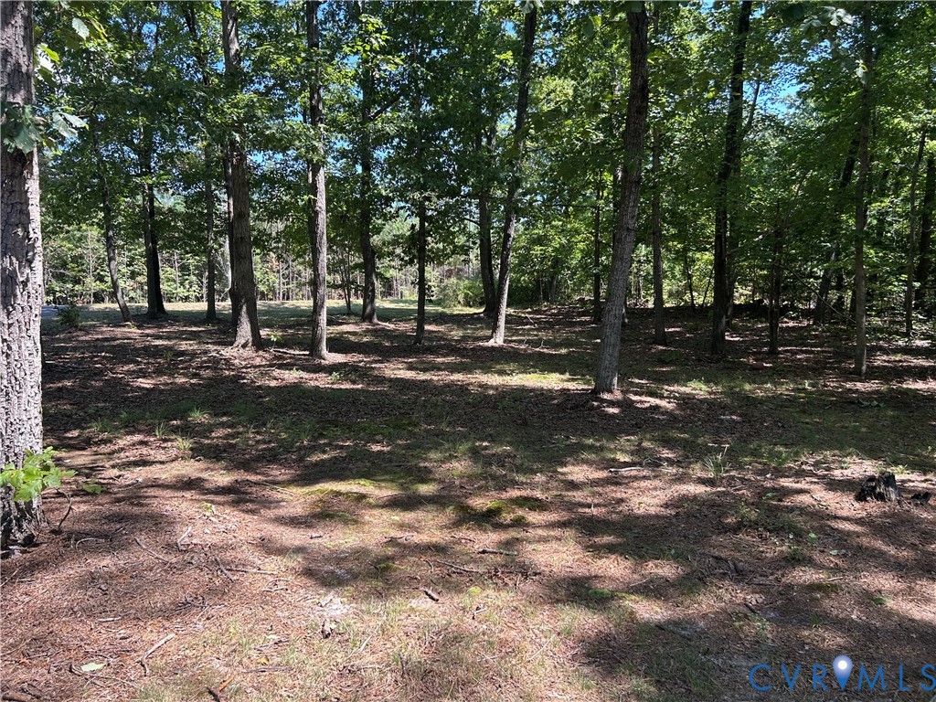 2239 Owl Creek Road Keysville, VA 23947 - Photo 22 of 30 a view of a tree in the middle of a yard