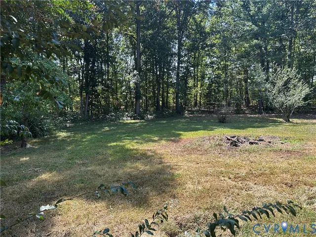 a view of large tree with house in background