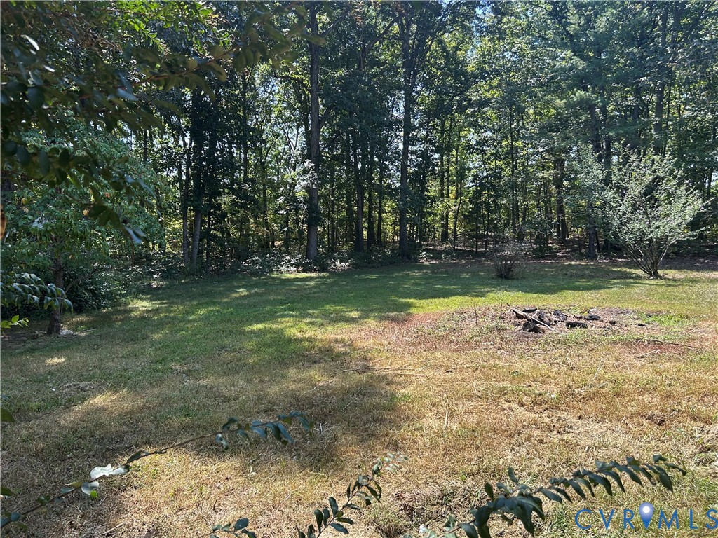 2239 Owl Creek Road Keysville, VA 23947 - Photo 23 of 30 a view of a yard with large trees