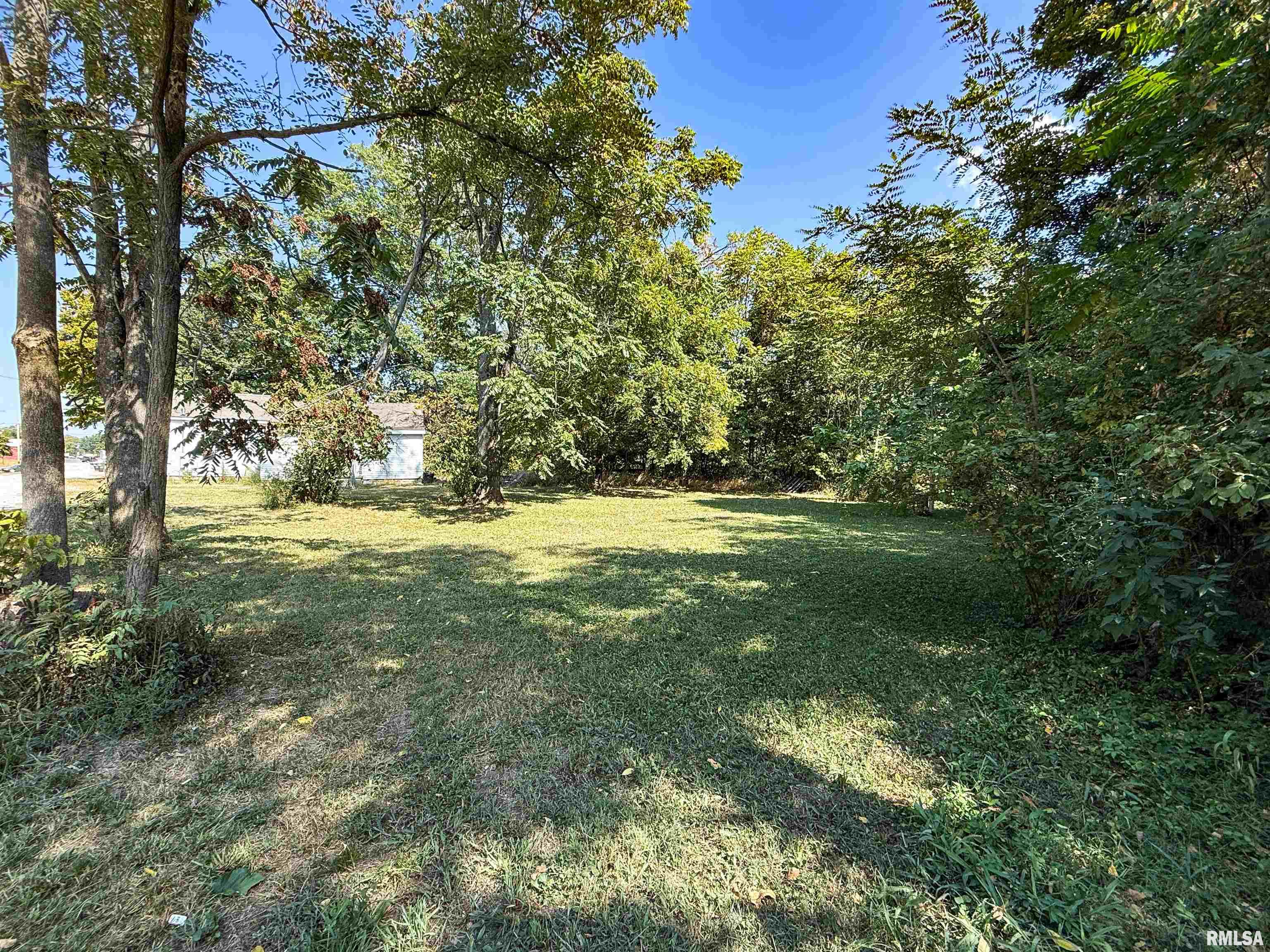 515 South Main Street Louisville, IL 62858 - Photo 3 of 9