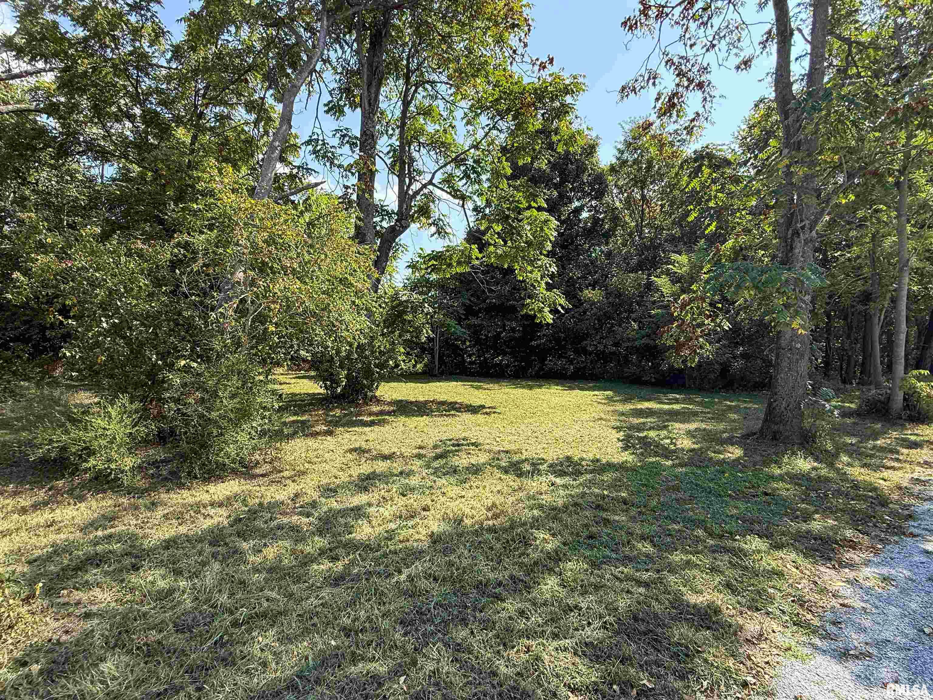 515 South Main Street Louisville, IL 62858 - Photo 4 of 9