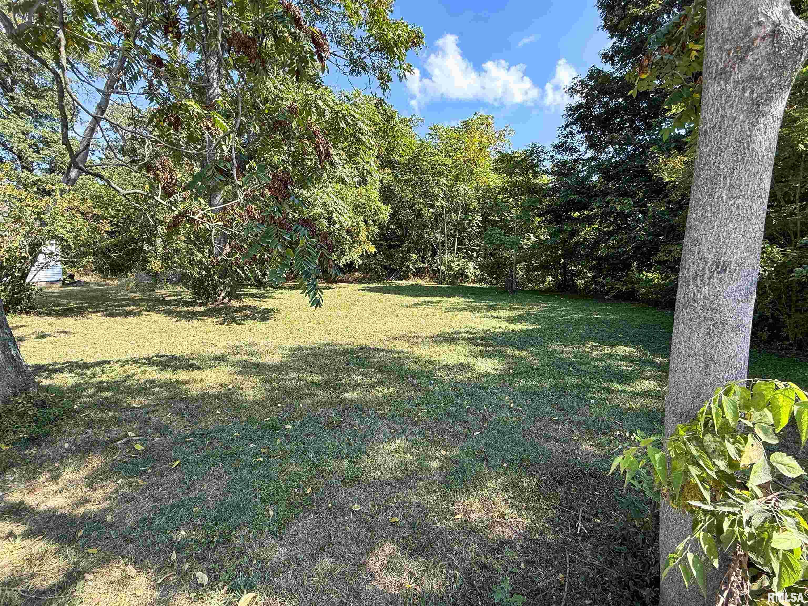 515 South Main Street Louisville, IL 62858 - Photo 6 of 9