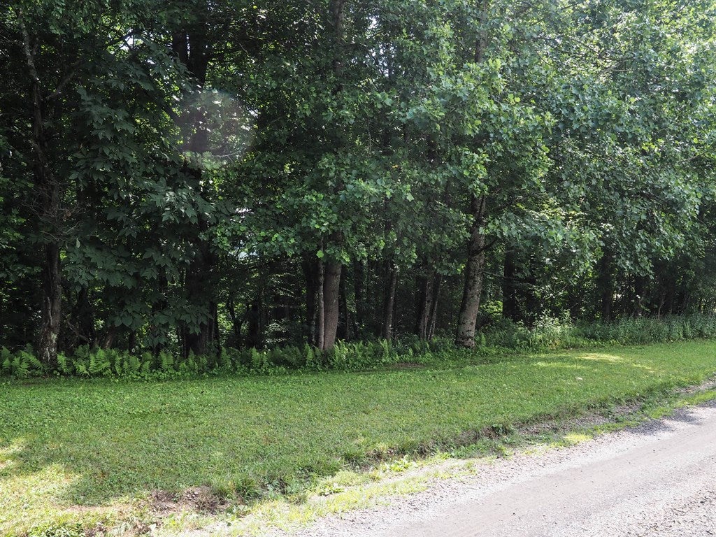 Tbd County Top Road, Unit 37 Fancy Gap, VA 24328 - Photo 4 of 4 Gallery Image 4