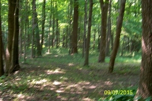 2109 North St Road Peru, IN 46970 - Photo 5 of 16 Gallery Image 5