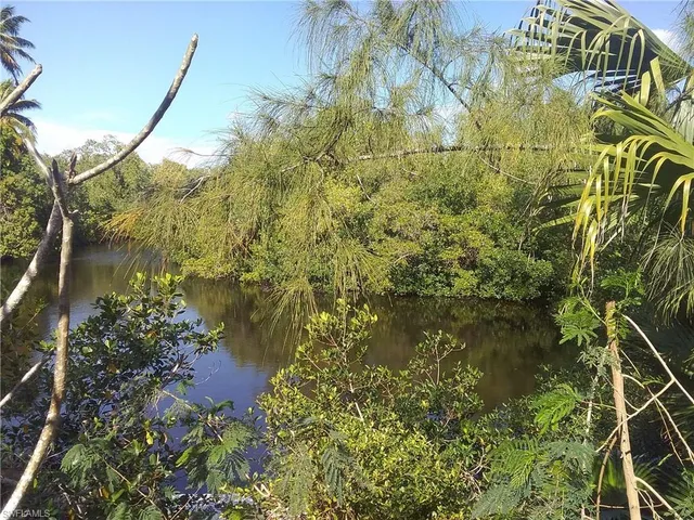 a view of a park with tree s