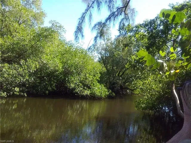 a view of a yard from a corridor