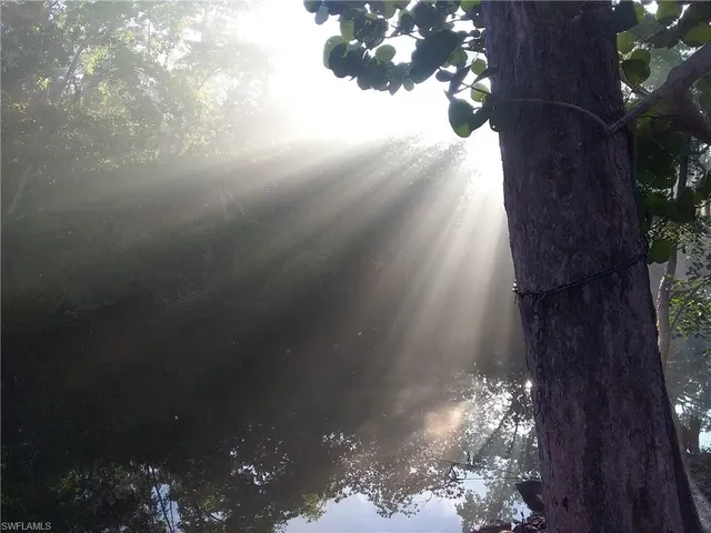 a backyard of a house with yard and trampoline