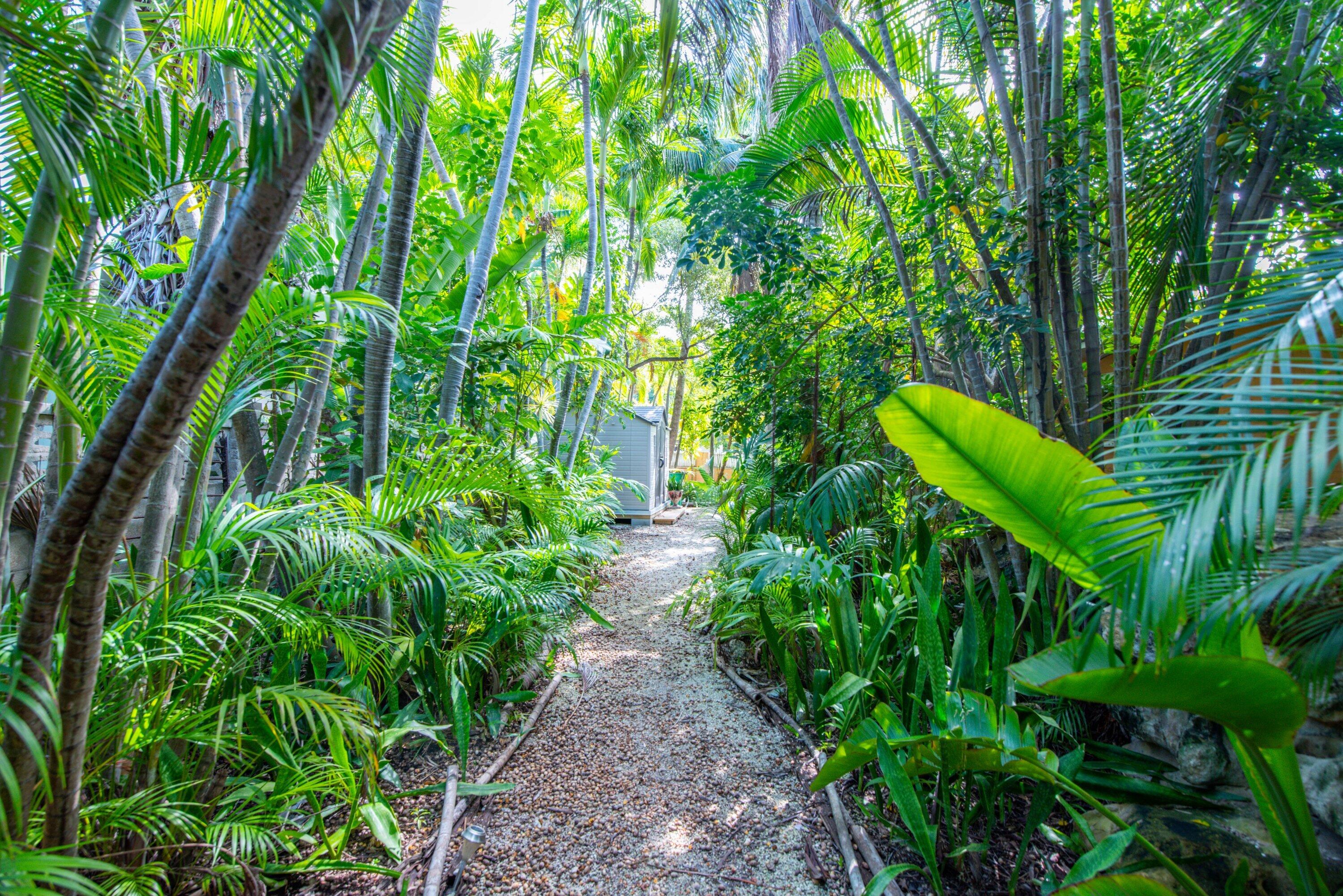 1711 Seminary Street Key West, FL 33040 - Photo 3 of 44 Spacious Tropical Lot