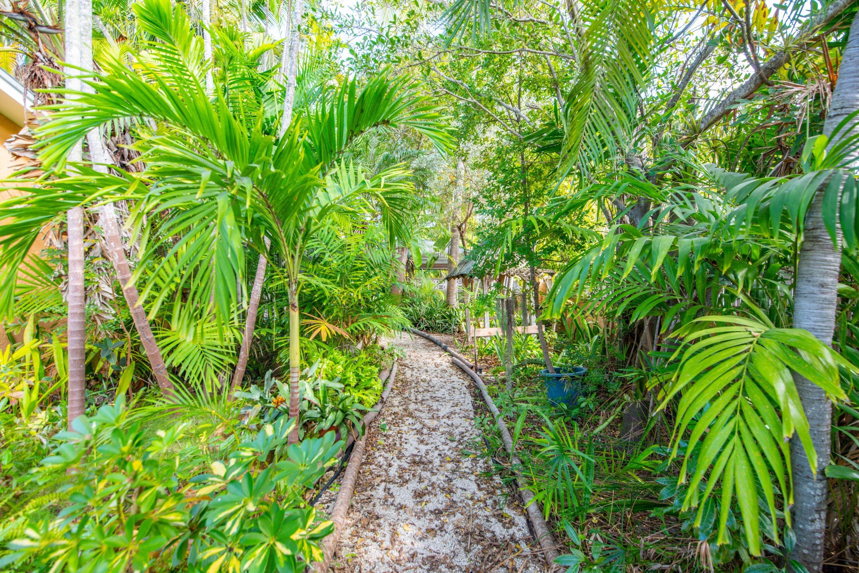 1711 Seminary Street Key West, FL 33040 - Photo 32 of 44 Spacious Tropical Lot