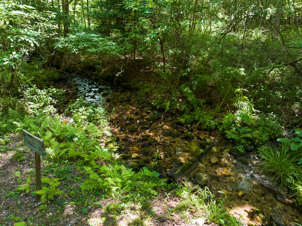 135 The Builder's Hill Morganton, GA 30560 - Photo 10 of 31