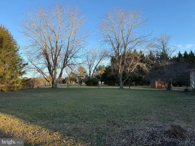 a view of a field with large trees