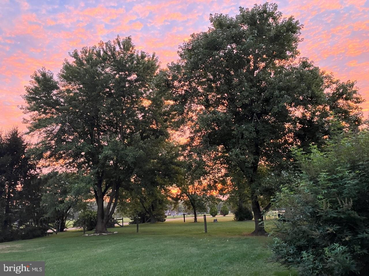 28736 Stockley Road Milton, DE 19968 - Photo 30 of 35 a view of park space