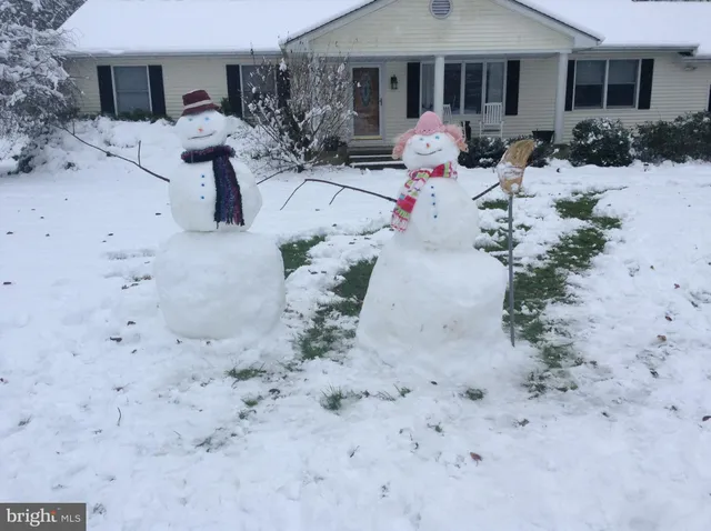 a view of a backyard with a barbeque and sitting space